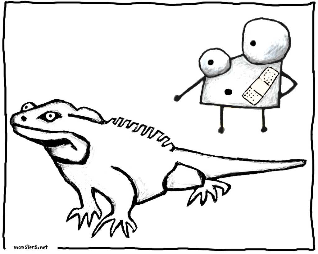 Drawings - Coloring Book