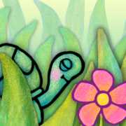 Sherman's Amazing Garden