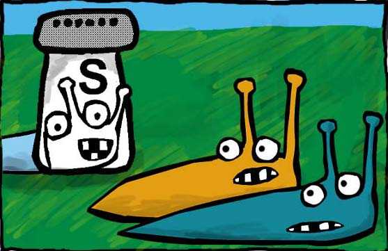 Sluggo the Slug and friends photograph. Sluggo is playing a practical joke on his friends by dressing up as a salt shaker for halloween. SCARY!