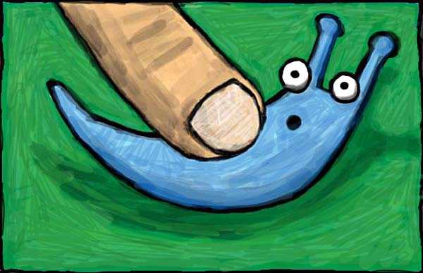 Sluggo the Slug and friends photograph. Boop!