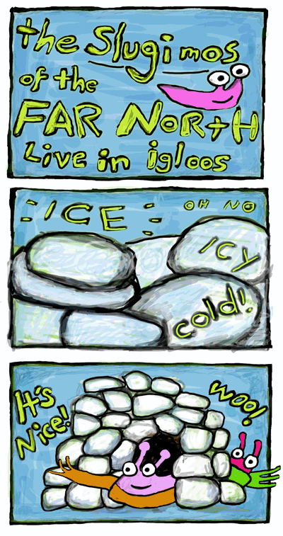 The slugimos of the far north live in igloos
